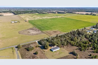 00 Willis Road, Greenwood, FL 32443 - Photo 7