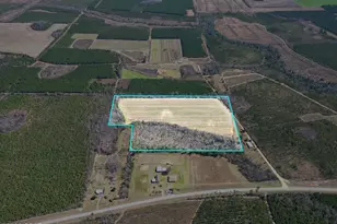 Tbd SW Cr 275 Abe Springs, Blountstown, FL 32424 - Photo 1