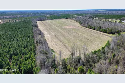 Tbd SW Cr 275 Abe Springs, Blountstown, FL 32424 - Photo 7