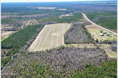 Tbd SW Cr 275 Abe Springs, Blountstown, FL 32424 - Photo 5
