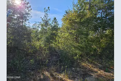 0000 Derby Drive, Chipley, FL 32428 - Photo 1