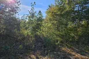 0000 Derby Dr, Chipley, FL 32428 - Photo 1