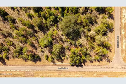 0 Sheffield Street #00, Chipley, FL 32428 - Photo 5