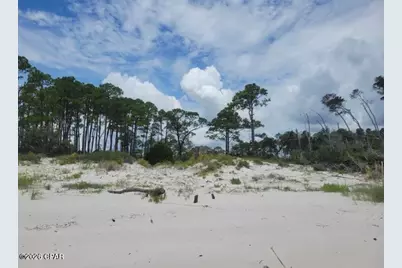 2790 Hidden Beaches Road, Carrabelle, FL 32322 - Photo 7