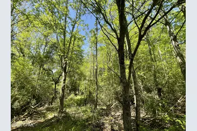 0000 Peanut Road, Graceville, FL 32440 - Photo 19