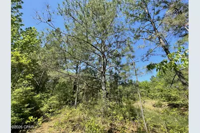 0000 Peanut Road, Graceville, FL 32440 - Photo 17