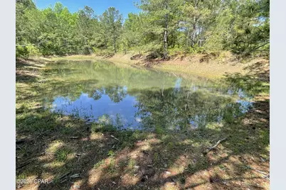 0000 Peanut Road, Graceville, FL 32440 - Photo 9