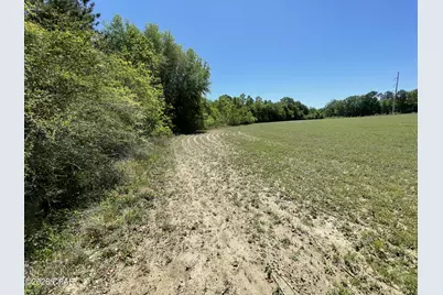 0000 Peanut Road, Graceville, FL 32440 - Photo 1