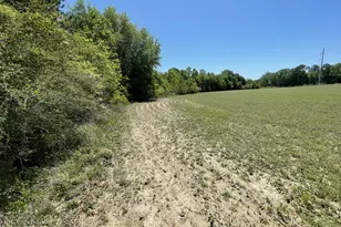 0000 Peanut Rd, Graceville, FL 32440 - Photo 1