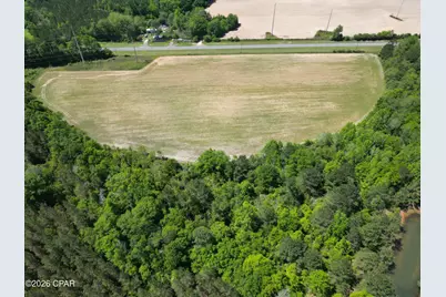 0000 Peanut Road, Graceville, FL 32440 - Photo 5