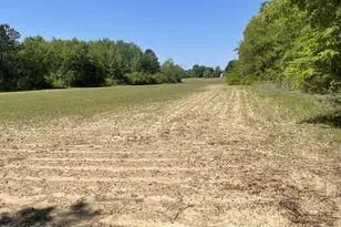 0010 Peanut Rd, Graceville, FL 32440 - Photo 1