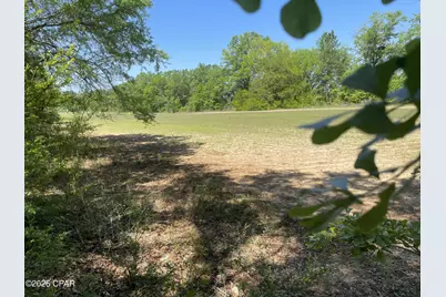 0010 Peanut Road, Graceville, FL 32440 - Photo 9