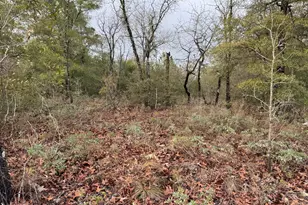 Lot 45 Cavalier Dr, Chipley, FL 32428 - Photo 1