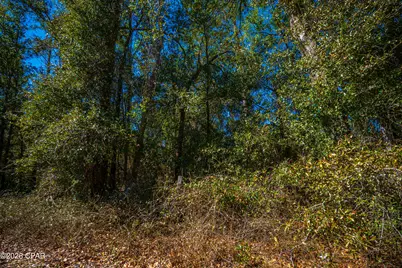 17198 SW Florida  47, Fort White, FL 32038 - Photo 17