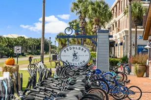 543 Seacrest Dr, Inlet Beach, FL 32461 - Photo 75