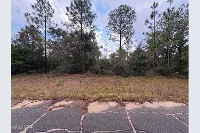 Lot 24 Pinellas Drive, Chipley, FL 32428 - Photo 1