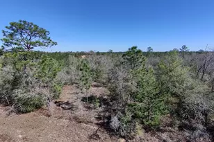 Lot 9 Trellis Dr, Chipley, FL 32428 - Photo 1