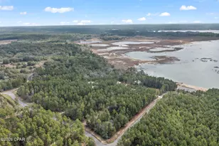 3723 Hicks Lake Ln, Vernon, FL 32462 - Photo 49