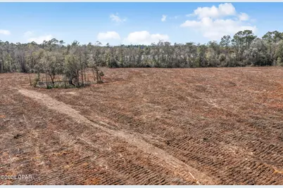 Xxx Tiller Road #North Lot, Chipley, FL 32428 - Photo 15