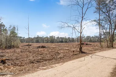 Xxx Tiller Road #North Lot, Chipley, FL 32428 - Photo 5