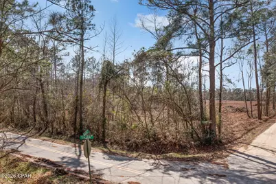 Xxx Tiller Road #North Lot, Chipley, FL 32428 - Photo 7