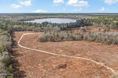 Xxx Tiller Road #South Lot, Chipley, FL 32428 - Photo 15