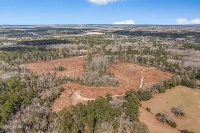 Xxx Tiller Road #South Lot, Chipley, FL 32428 - Photo 9