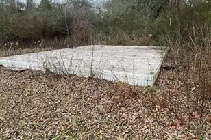 14304 SW County Road 275, Blountstown, FL 32424 - Photo 29