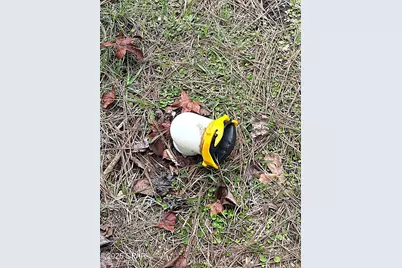 2103 Holley Timber Road, Cottondale, FL 32431 - Photo 15