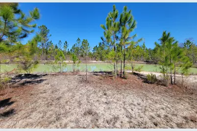 Tbd City Square Road, Alford, FL 32420 - Photo 1