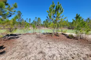 Tbd City Square Rd, Alford, FL 32420 - Photo 1