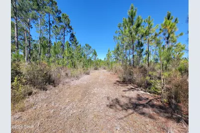 Tbd City Square Road, Alford, FL 32420 - Photo 5