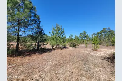 Tbd City Square Road, Alford, FL 32420 - Photo 17