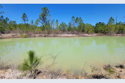 Tbd City Square Road, Alford, FL 32420 - Photo 3