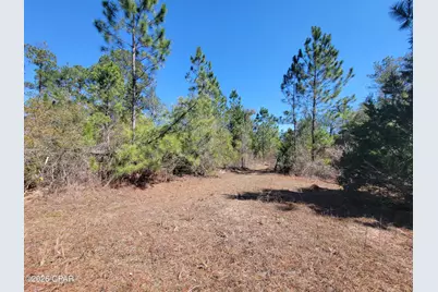 Tbd City Square Road, Alford, FL 32420 - Photo 7