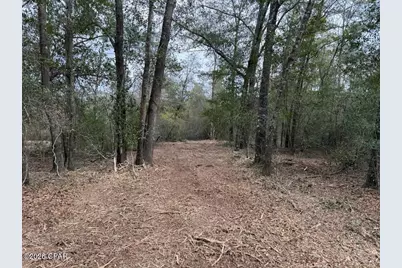 00 Pasofino Lane, Alford, FL 32420 - Photo 3