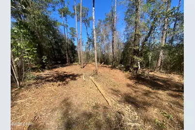 00 Pasofino Lane, Alford, FL 32420 - Photo 7