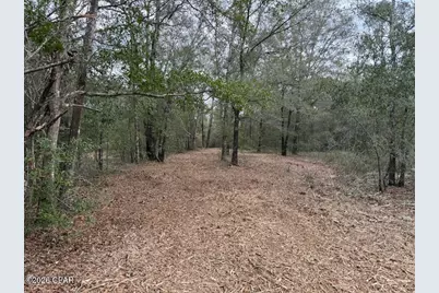 00 Pasofino Lane, Alford, FL 32420 - Photo 5