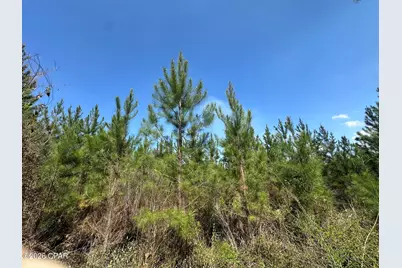 Tract 6336 Sand Path Road, Bonifay, FL 32425 - Photo 5