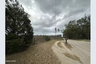 Tract 6336 Sand Path Road, Bonifay, FL 32425 - Photo 5