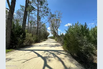 Tract 6336 Sand Path Road, Bonifay, FL 32425 - Photo 3