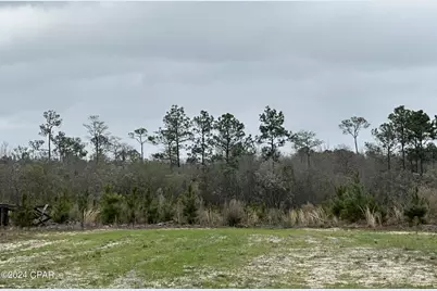 Tract 6336 Sand Path Road, Bonifay, FL 32425 - Photo 1