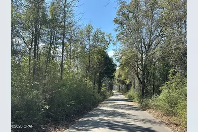 Tract 6336 Sand Path Road, Bonifay, FL 32425 - Photo 1