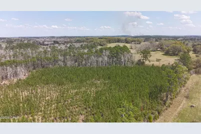 Tract 6336 Sand Path Road, Bonifay, FL 32425 - Photo 9