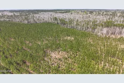 Tract 6336 Sand Path Road, Bonifay, FL 32425 - Photo 7