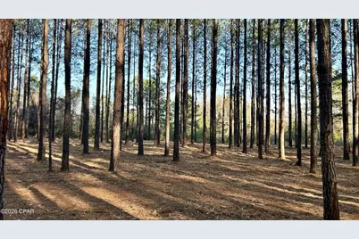 X Grimes Road, Laurel Hill, FL 32567 - Photo 23