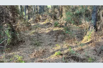 X Grimes Road, Laurel Hill, FL 32567 - Photo 13
