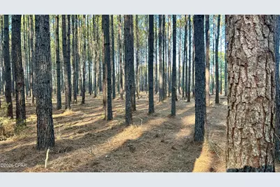 X Grimes Road, Laurel Hill, FL 32567 - Photo 21