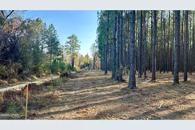 X Grimes Road, Laurel Hill, FL 32567 - Photo 3