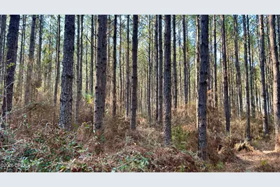 X Grimes Road, Laurel Hill, FL 32567 - Photo 19